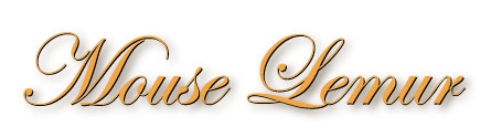 mouse_lemur_title