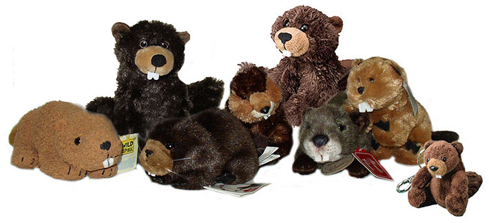 beaver_plush_toys