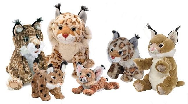 bobcat_plush