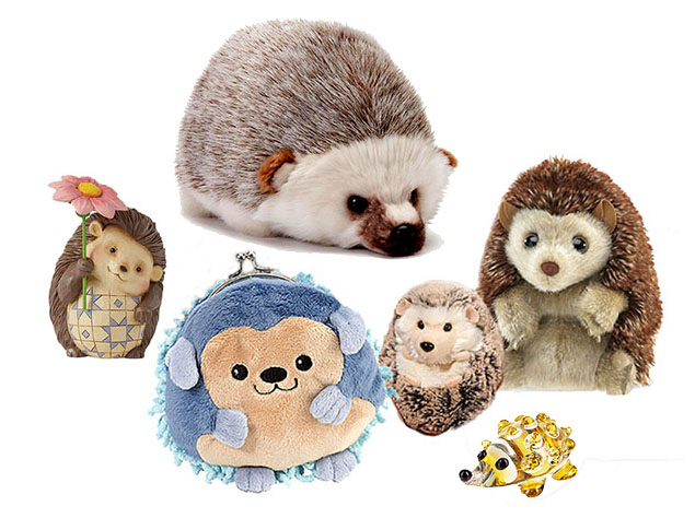 hedgehogs