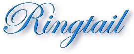 ringtail_title